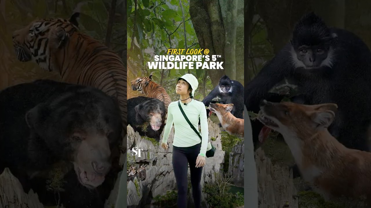 YouTube Short thumbnail