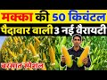 2026 में मक्का की सबसे ज्यादा पैदावार वा�