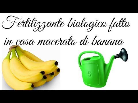 Quello che i mezzi aiuteranno a psoriasi Cura di psoriasi di unerba