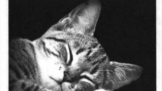 Electric President-Insomnia