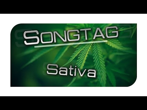 Dragon Fly & Kozan - Sativa