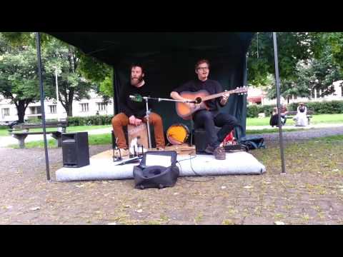 The Wild Roots - The Wild Roots - Irish Girl (accoustic version)