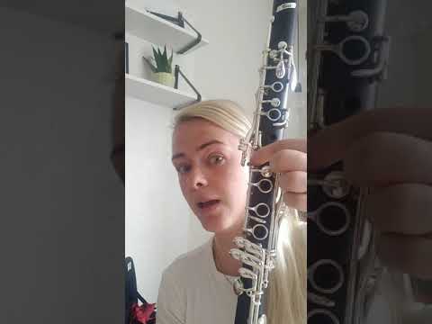 Hvordan man samler klarinetten