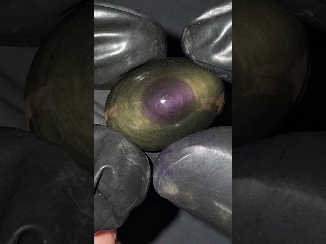 حجر أوبسيدان مصور هيئة عين طبيعي