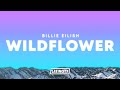 Billie Eilish WILDFLOWER Lyrics