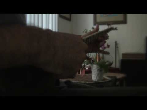 Amir Nojan - Setar improvisation