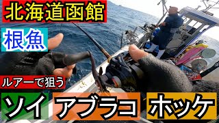 北海道函館 和船で根魚を釣る ソイ アブラコ ホッケ