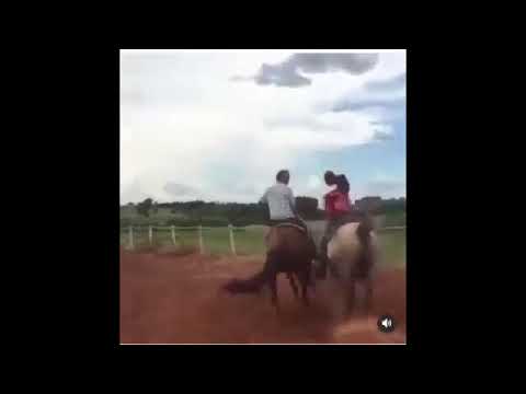 Tombos de cavalos rindo até 2050