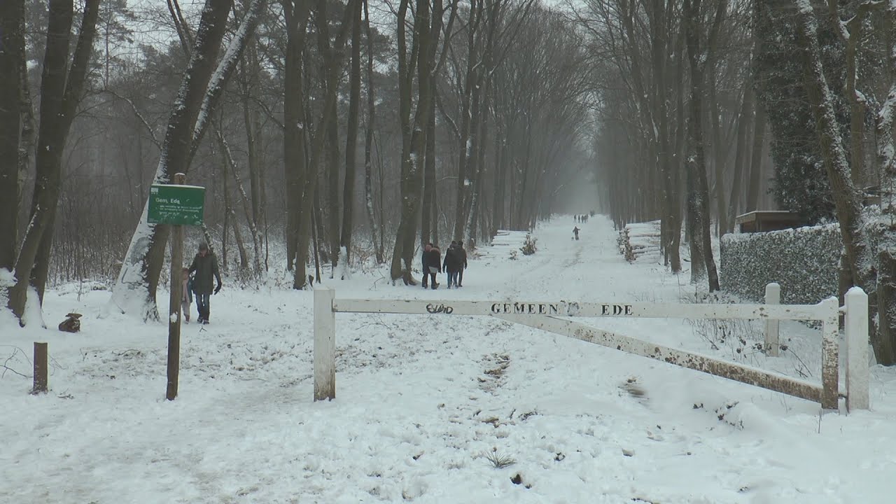 Winter in gemeente Ede - februari 2021