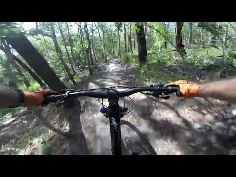 Nerang mtb Goanna