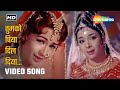 तुमको पिया दिल दिया Tumko Piya Dil Diya Shikari 1963 Lata Mangeshkar