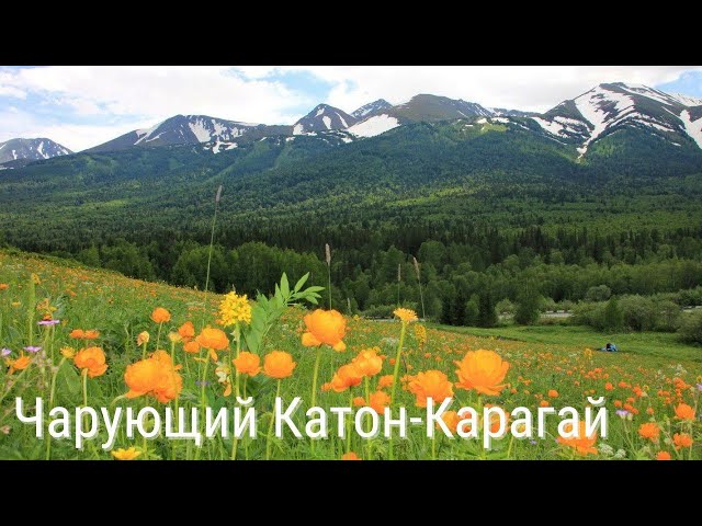 Чарующий Катон-Карагай