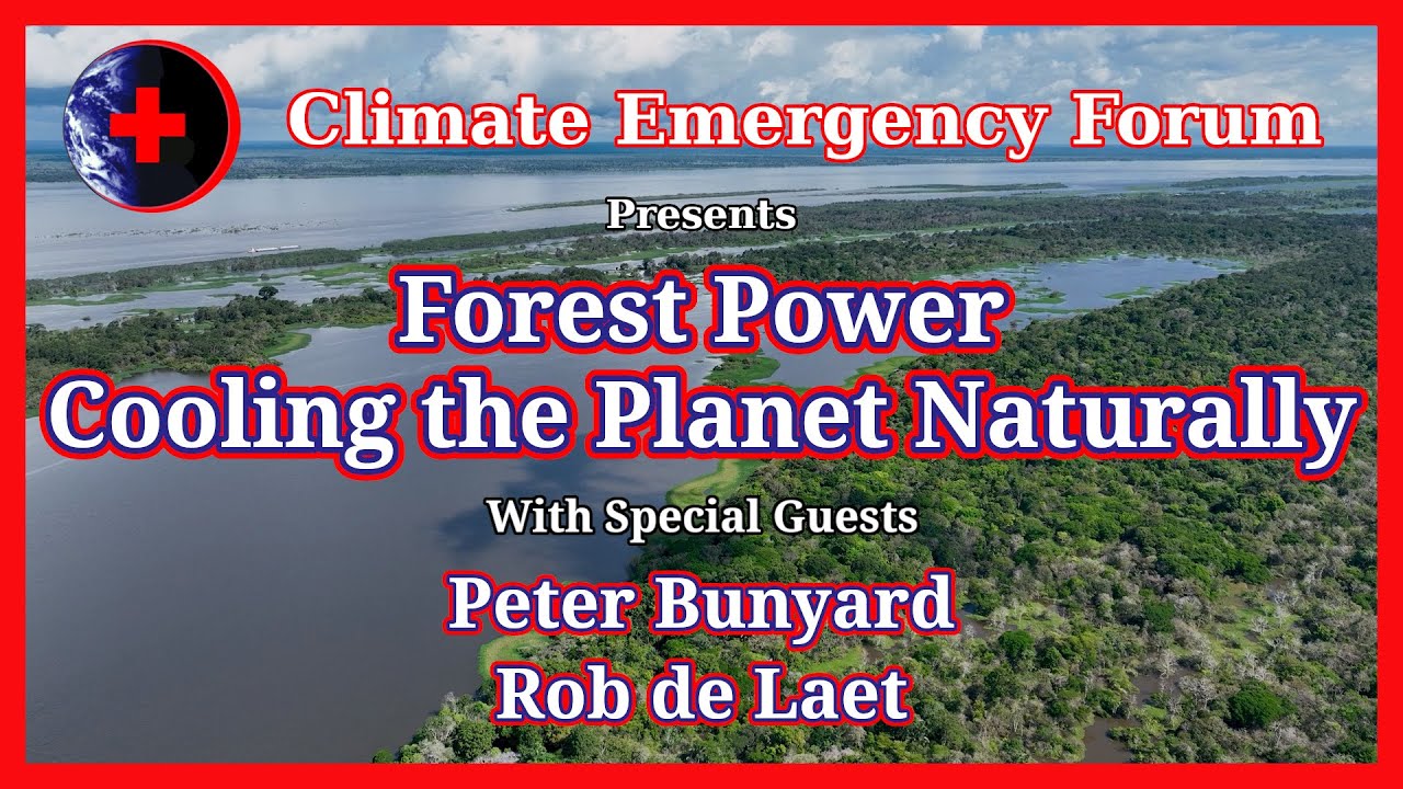 MRSロジスティカ、大西洋森林再生プロジェクトを発表