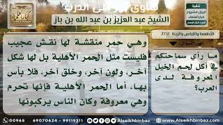 صورة 2731 - إباحة أكل لحم الخيل - نور على الدرب