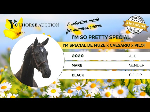 I'm So Pretty Special