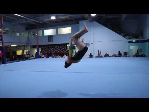 Brianna Taurek 1st Floor Olympic Dreams Invite 2017 Wildfire Gymnast Level 5