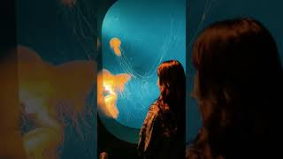 Download lagu Umay Shahab, Natania Karin - Perayaan Mati Rasa #lyric #music #umayshahab #shorts mp3