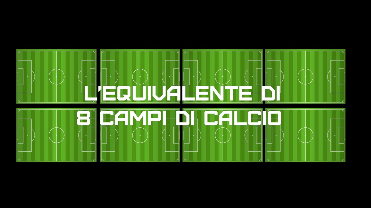 Capaldo Spa. Una “visita” al magazzino