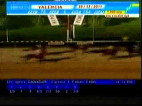 Resumen Jueves,29 de Diciembre de 2011 - Valencia