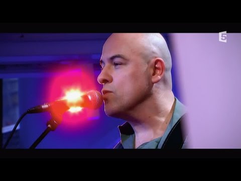 Dominique A "Eléor" - C à vous - 20/03/2015