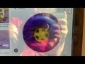 Wonder Pets Blue Wheel