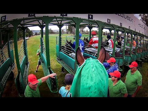 Dostih z pohledu žokeje #5