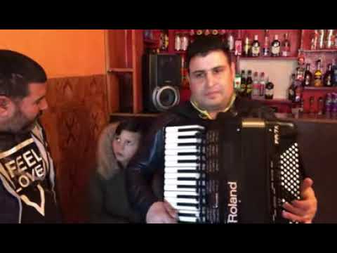 Câțan în bar la Florin.3mp4