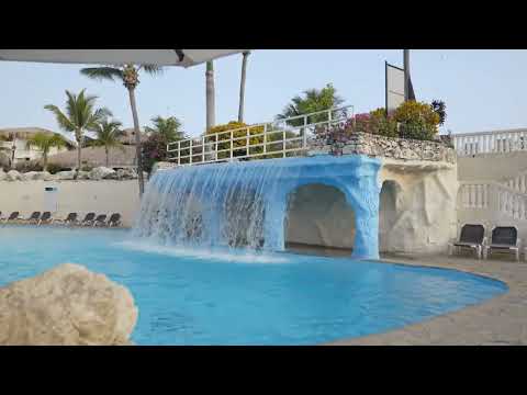 Experience the tropical vibes of Cofresi Palm at Lifestyle Holidays in Puerto Plata! 🌴