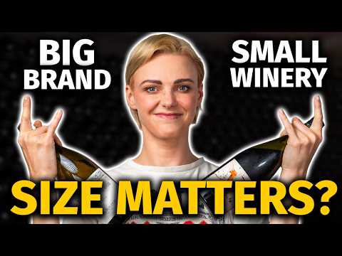 BIG Brand vs. SMALL Winery Wines: Which Delivers Better Quality? (Blind Tasting Battle)