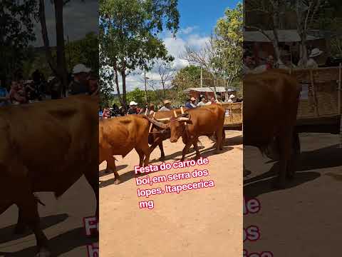 festa do carro de boi, em Serra dos Lopes. Itapecerica mg