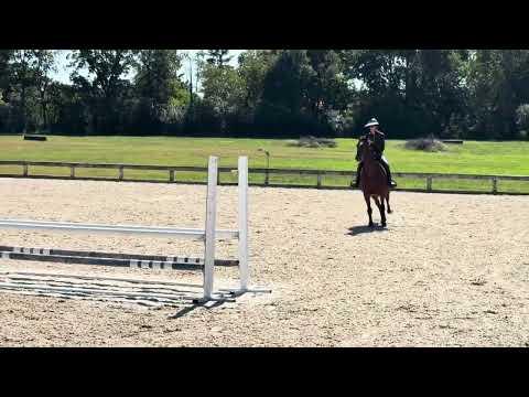 Zeven Blue video 1