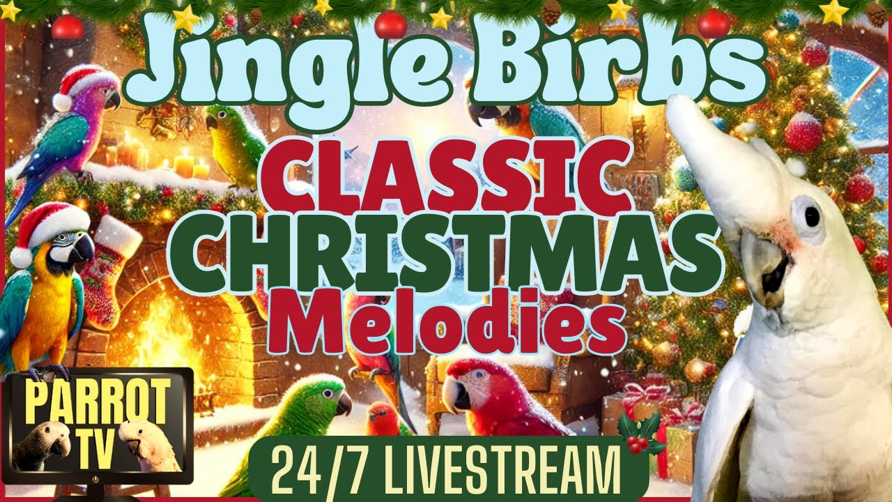Jingle Birbs: Cozy Christmas Classics & Nature Sounds for Birds | Parrot Town TV Holiday Vibes 🎄🎶🦜