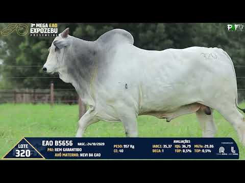 Raio-x erural: 3º MEGA EVENTO EAO EXPOZEBU