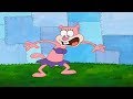 Spongebob Squarepants Squirrel Pattern Baldness