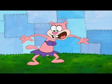 Spongebob Squarepants Squirrel Pattern Baldness