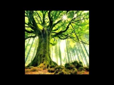 A.K.D - Live Promo Set For Tree of Life Festival [HQ]