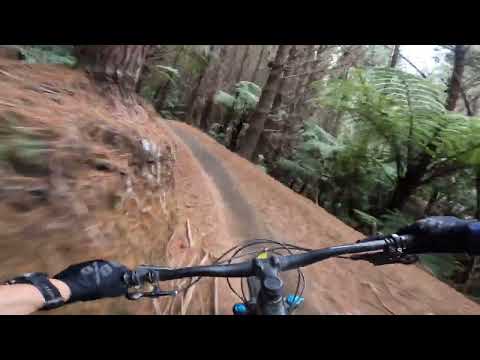 Te Poaka trail Rotorua