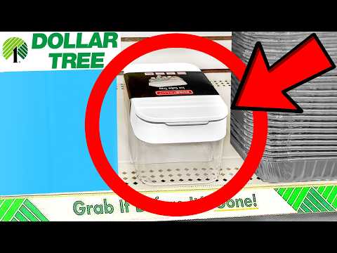 10 Things You SHOULD Be Buying at Dollar Tree in June 2026