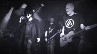 The Sisters Of Murphy - The Damage Done