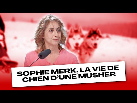 Sophie Merk, la vie de chien d’une musher