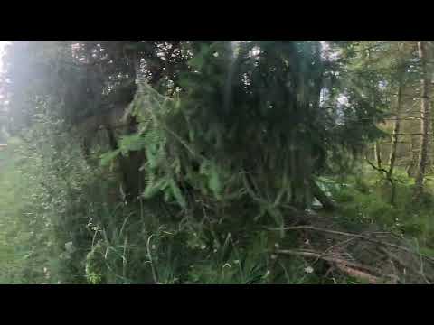 Wurzacher Ried auf der Wandertrilogie Allgäu in 4k