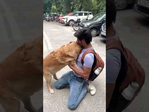 Meeting my dog after so long🥹 #minivlog #shorts | Anant rastogi