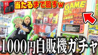 【神回】猛暑でまた頭がおかしくなった相方が『1000円ガチャでS賞Switch2当たるまで』回してみた結果...え、嘘やろ。。【開封動画】