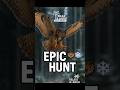 Epic Owl Hunt Silent Predator In The Snow