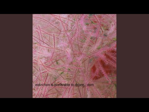 Extinction Is Preferable to Drone-dom, Pt. 1