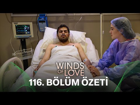 Rüzgarlı Tepe 116. Bölüm Özeti | Winds of Love Episode 116 Recap (Eng Sub)
