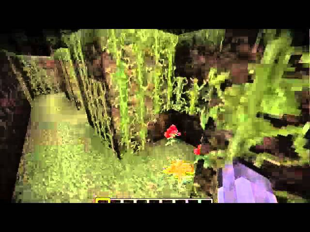 Kokiri Forest and Inside the Deku Tree Minecraft Map