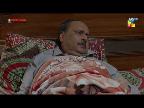 Tameezudin Ne Kiya Sahir Aur Ifrah Ke Saath Zulm - Bebasi - HUM TV