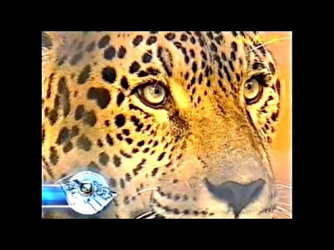 Rede Globo e RBS TV/RS - Trecho Jornal Nacional com William Bonner e Fátima Bernades'. 01/09/2005