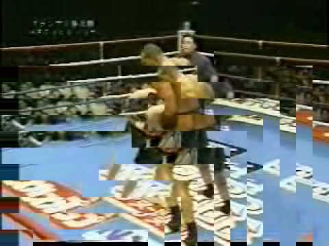 Jerome Le Banner knock out funny2